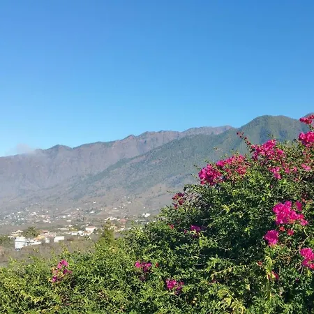 Don Miguel La Palma *